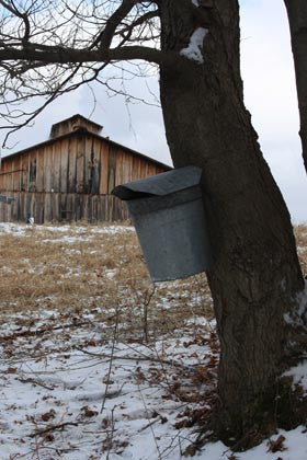 2024 Maple Season Sugarhouse Hours: 9-4           Stay tuned for dates! BACK BY POPULAR DEMAND: Pancake breakfast 9-1. Watch, learn, and shop all day. CALL TO SCHEDULE GROUP TOURS.